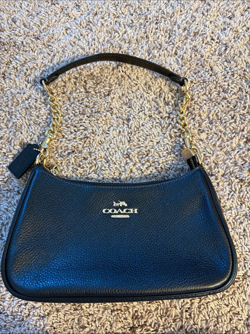 Coach Terri Shoulder Bag Purse